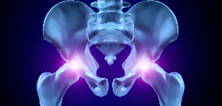 osteoarthritis hip joint